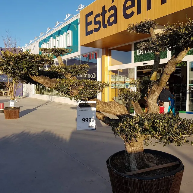 Verdecora Alcalá de Henares