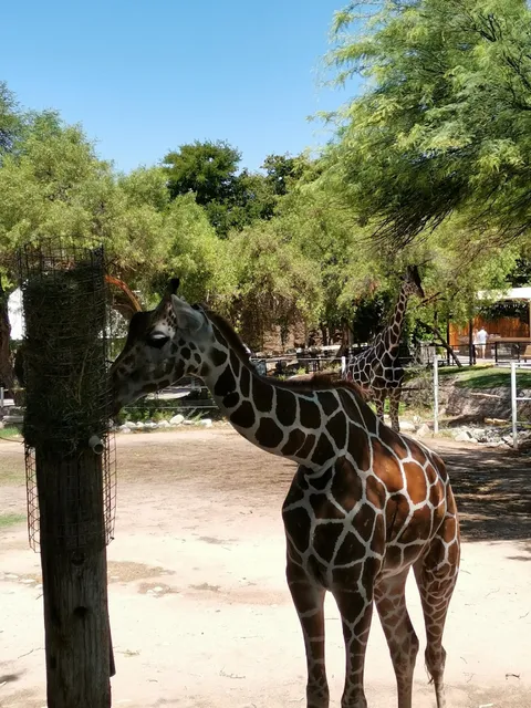 Reid Park Zoological Society
