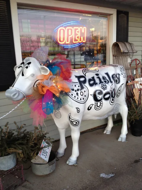 Paisley Cow LLC