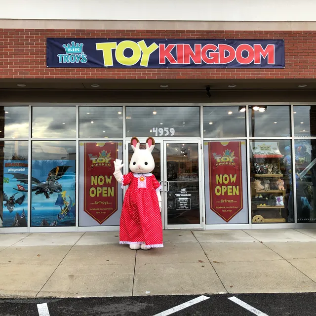 Sir Troy's Toy Kingdom