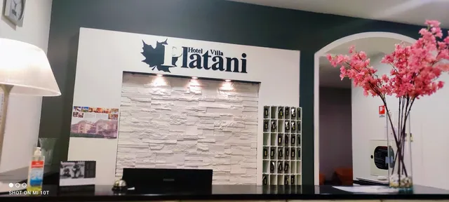 Hotel Villa Platani