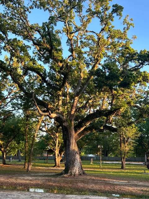 Honeyville Park and Community Center