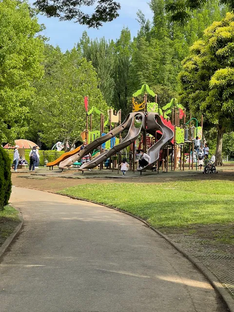 大崎公園 森の冒険砦