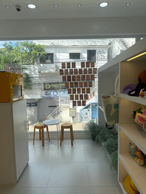 Cheeze Moon Pink Moon