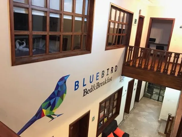 BlueBird Bed&Breakfast