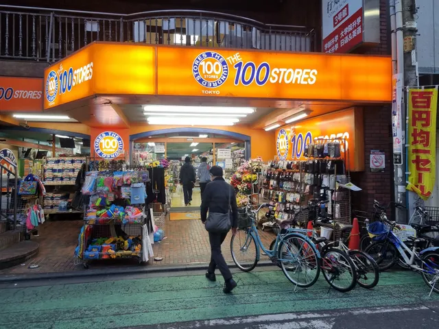 THE 100 STORES