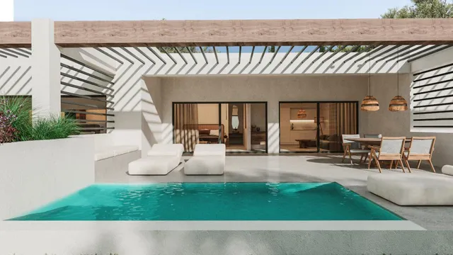 Acacia - Explore your senses