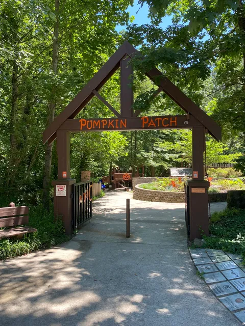 The Pumpkin Patch Playground