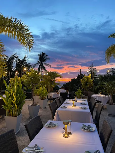 Barracuda on the Beach
