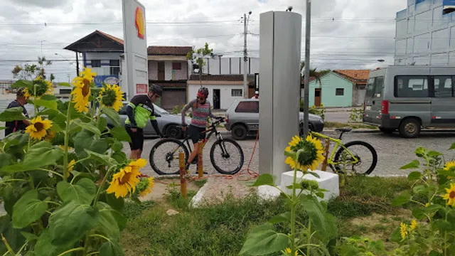 Mini Pan Santa Maria