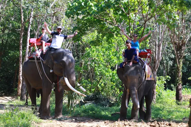 Elephant Camp Phuket,Thailand ปางช้างภูเก็ตช้างไทย