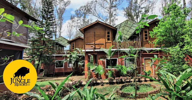 The Jungle Resort Amba