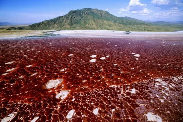Lake Natron