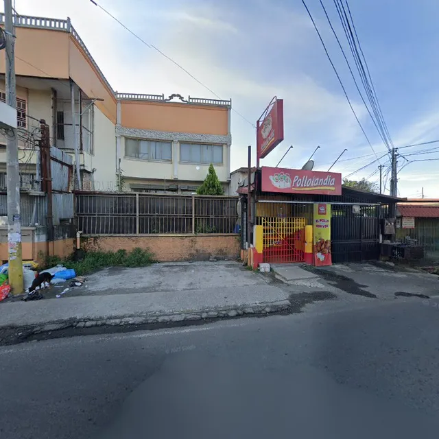 POLLOLANDIA CIRUELAS DE ALAJUELA