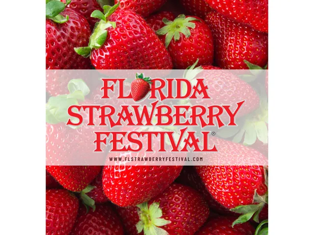 Florida Strawberry Festival Office