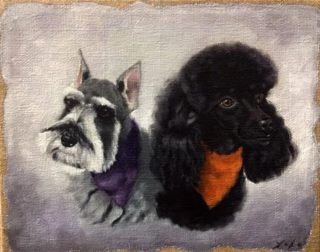 HoliDog Inn Room & Groom