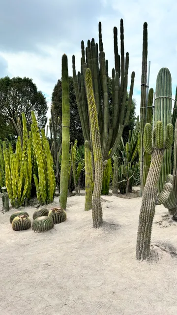Xiamen Botanical Garden （Northwest Gate）