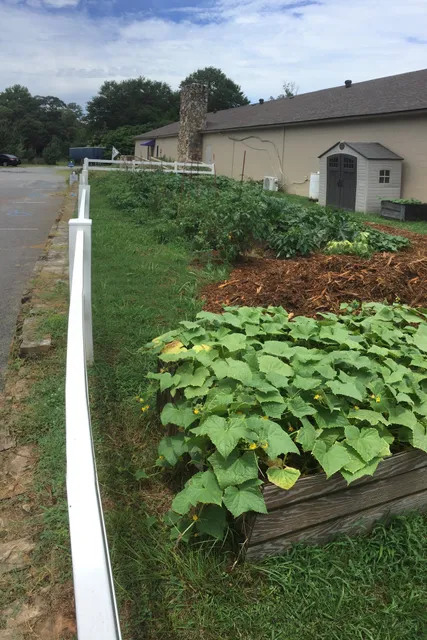 Backstreet Community Arts