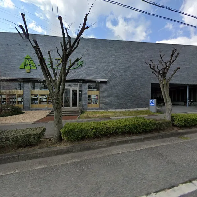 森のステファニー