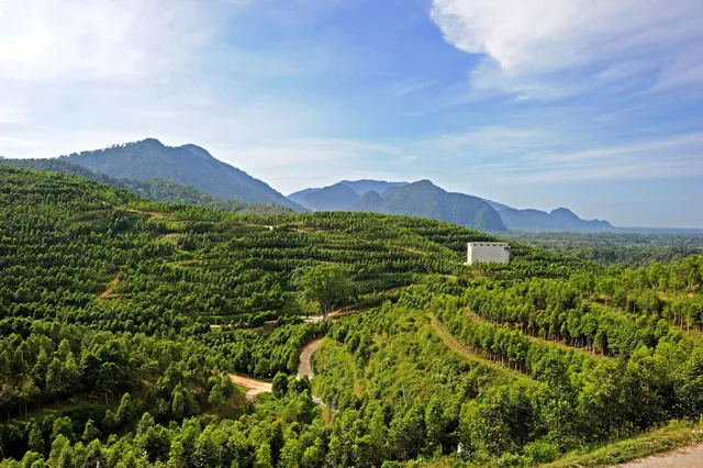 HOGA, Gaharu Tea Valley Gopeng