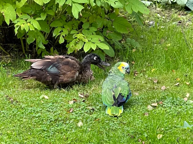 Eichhof Garlstorf - Bed & Breakfast