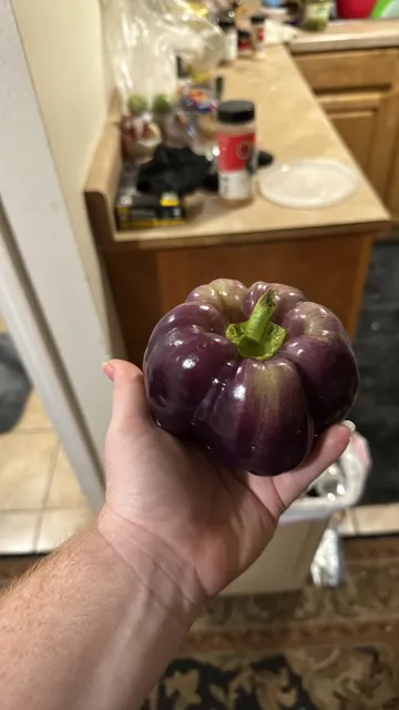 Crescent City Farmers Market - City Park