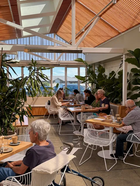 Daily Bread — Botany