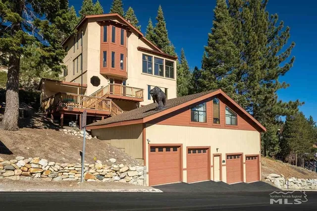 The Bear On The Roof