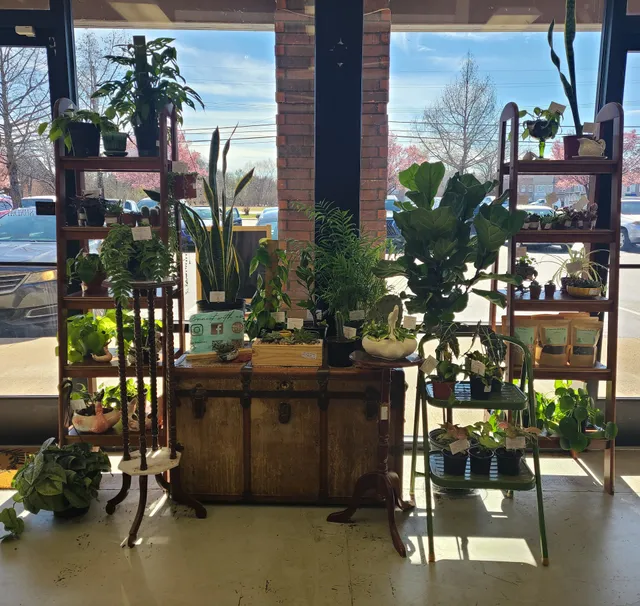 Honey Bee Vintage, Home, & Gifts