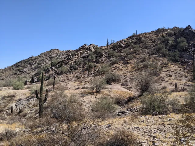 JUDITH TUNELL ACCESSIBLE TRAIL