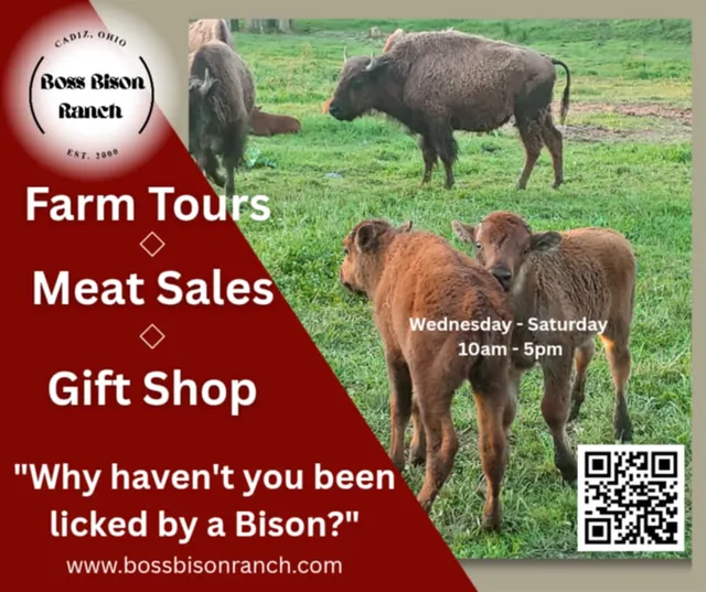 Boss Bison Ranch
