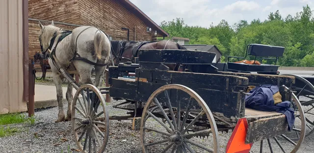 Snyder County Produce