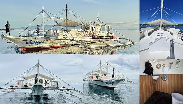 Harolds Mansion Hostel