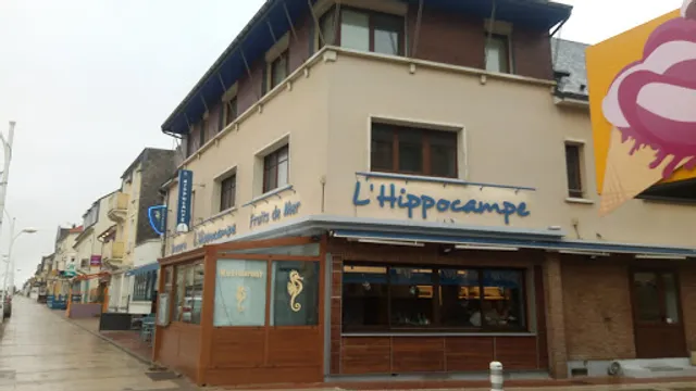 Hippocampe