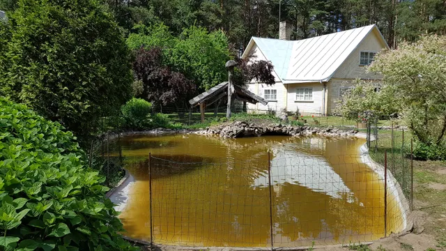 Aido ir Jovitos Sodyba Jorunas