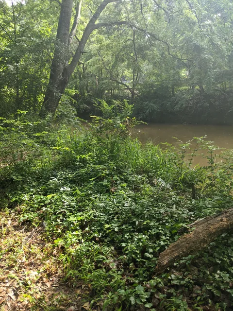 North Oconee River Park (West)