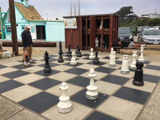 The Giant Chessboard