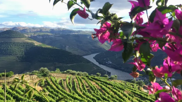 D'Origem - Museu do Azeite