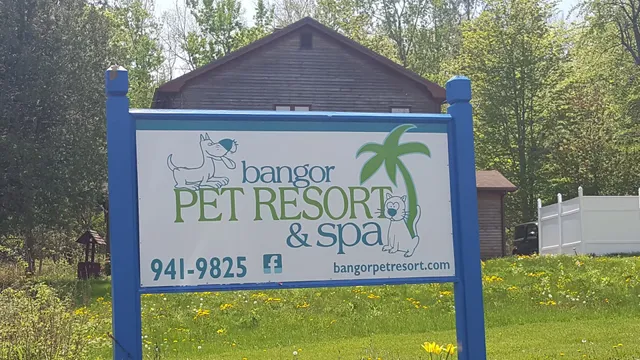 Bangor Pet Resort & Spa