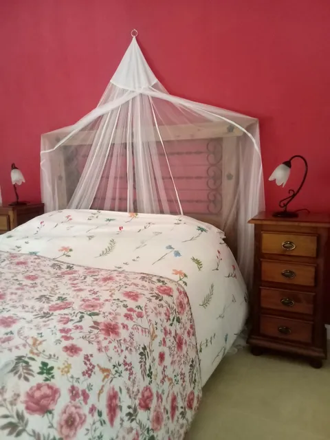 Vista Terraza Illora