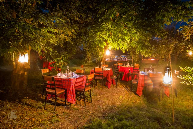 Mara Treetops Tented Camp