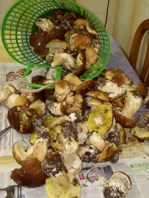 Bar cafeteria Sociedad