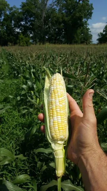 Loup Farms Produce Stand