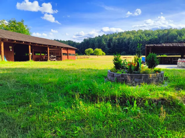 Agritourism "The Glade"