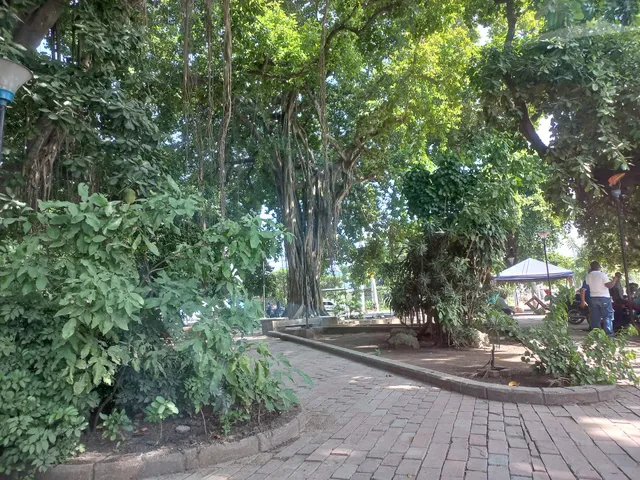 El Manzanillo Park