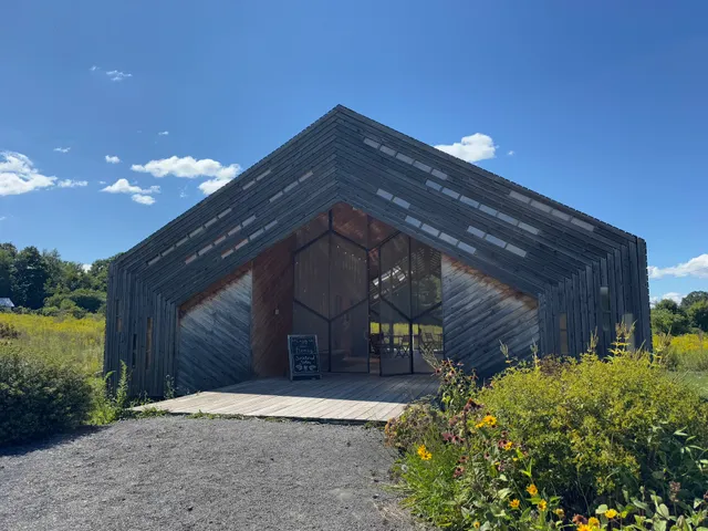 The Honeybee Embassy