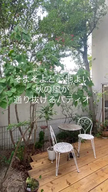 ザ・カフェ・ユーカリプタス