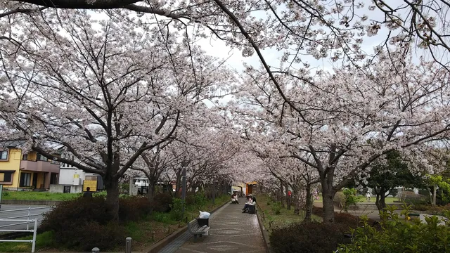 Nitta Sakura Park