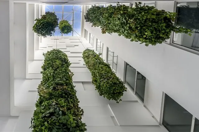 City Express Junior by Marriott Bogota Aeropuerto