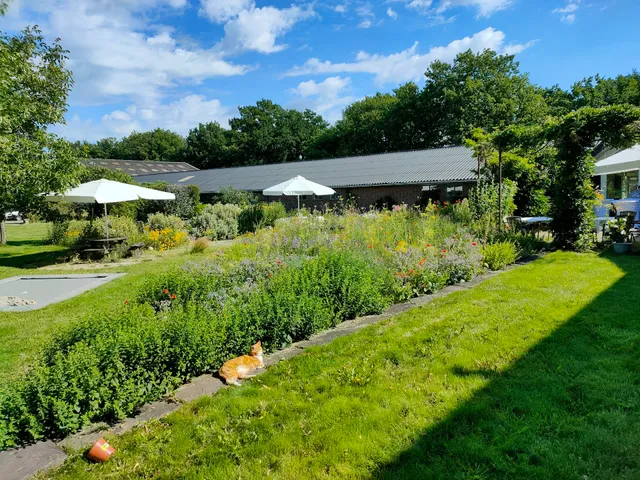 Theetuin Het Aardrijk